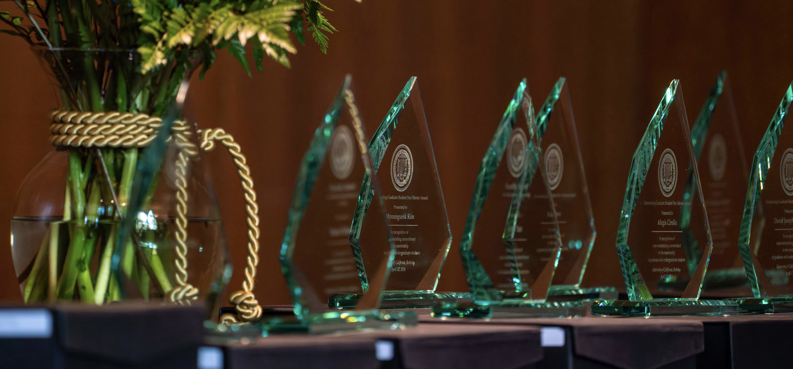 Graduate Mentoring Awards trophies on a table